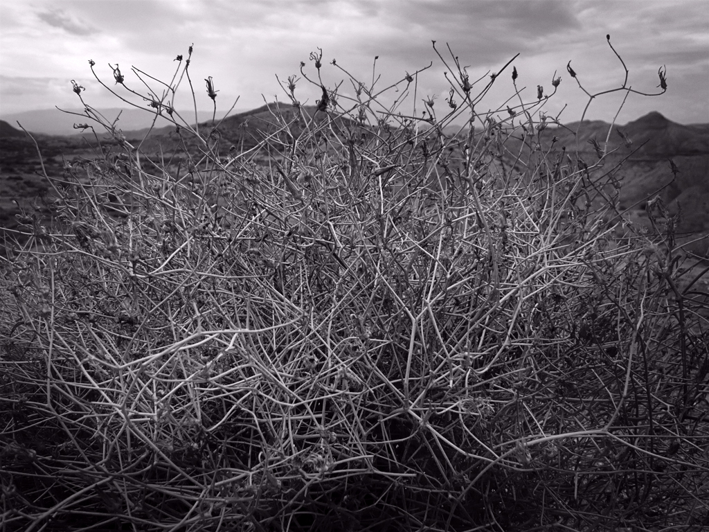 Antonio Algaba Fotografía