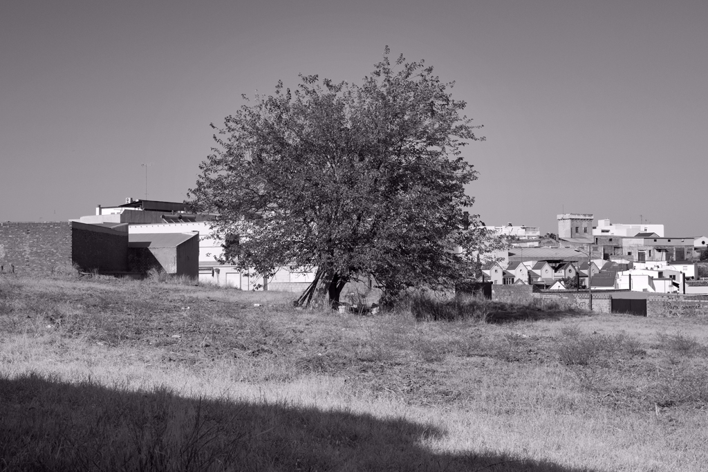 Una frontera intangible. Antonio Algaba
