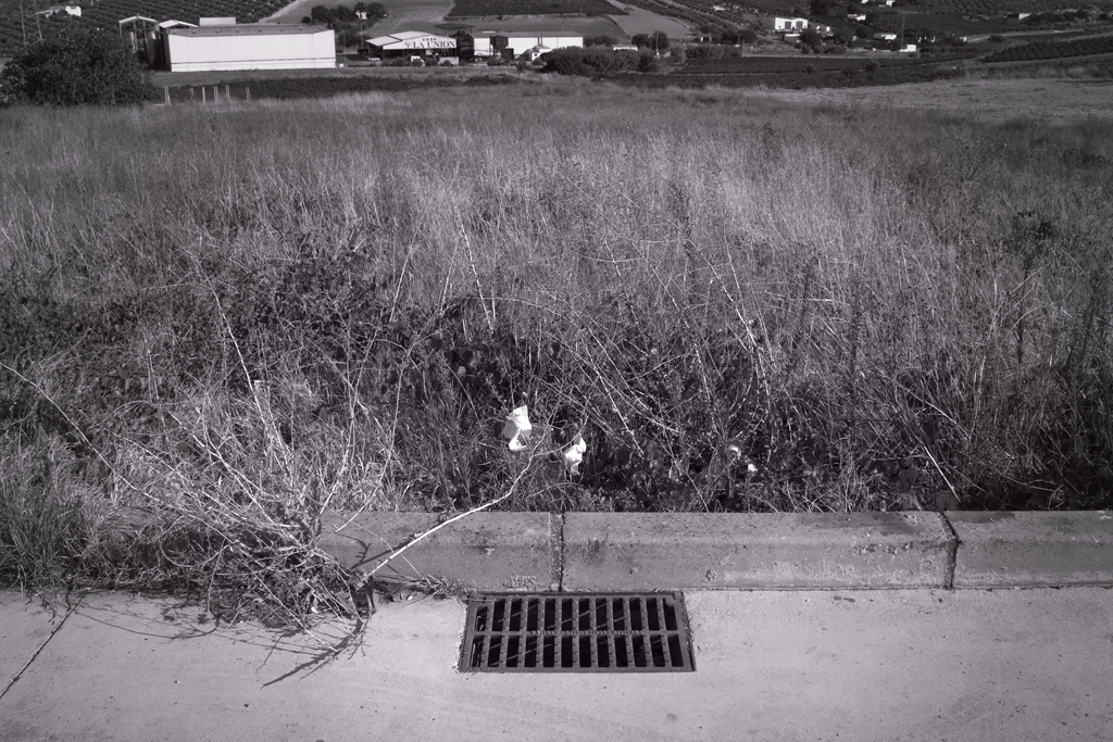 Antonio Algaba Fotografía