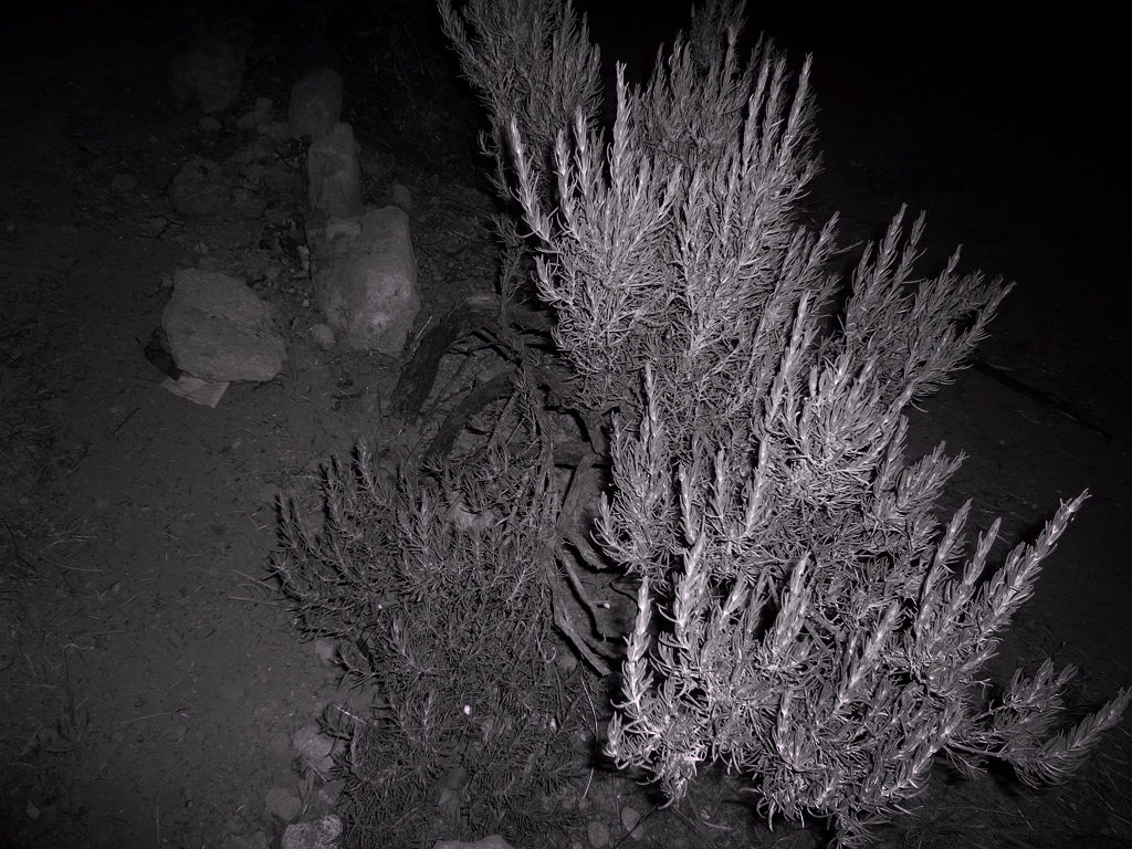 Antonio Algaba Fotografía