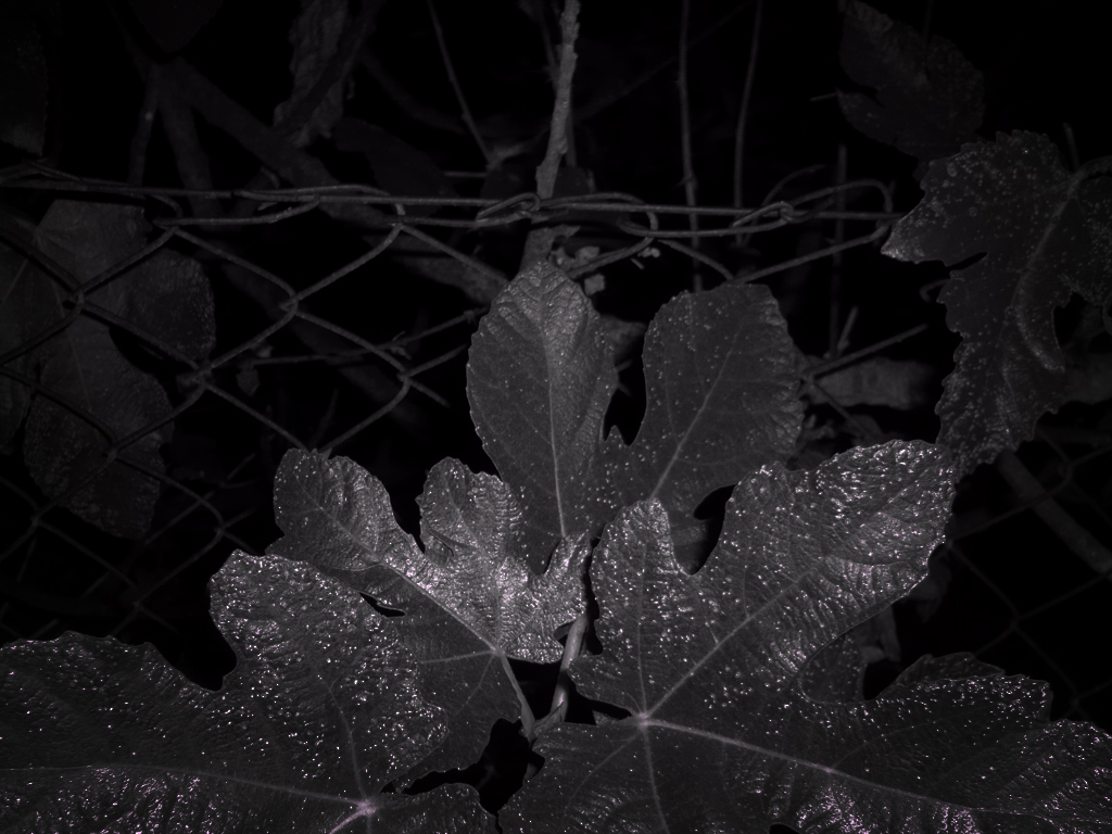 Antonio Algaba Fotografía