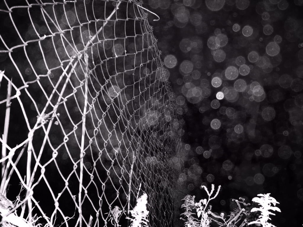 Antonio Algaba Fotografía