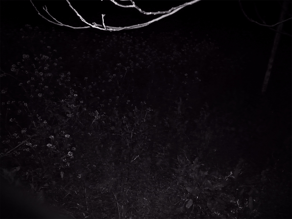 Antonio Algaba Fotografía