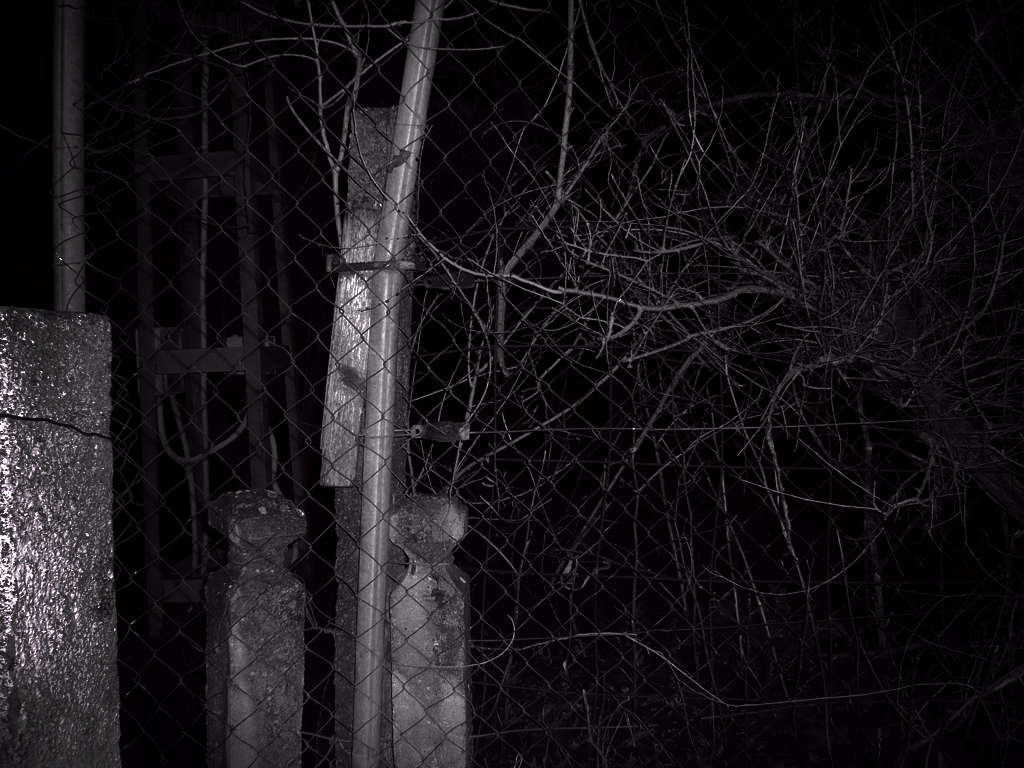 Antonio Algaba Fotografía