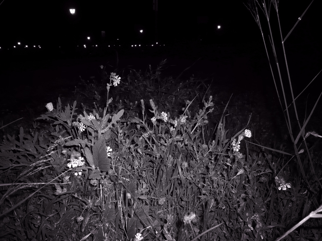 Antonio Algaba Fotografía