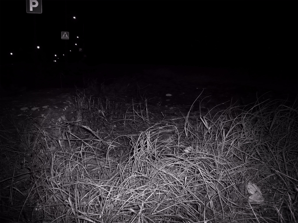 Antonio Algaba Fotografía