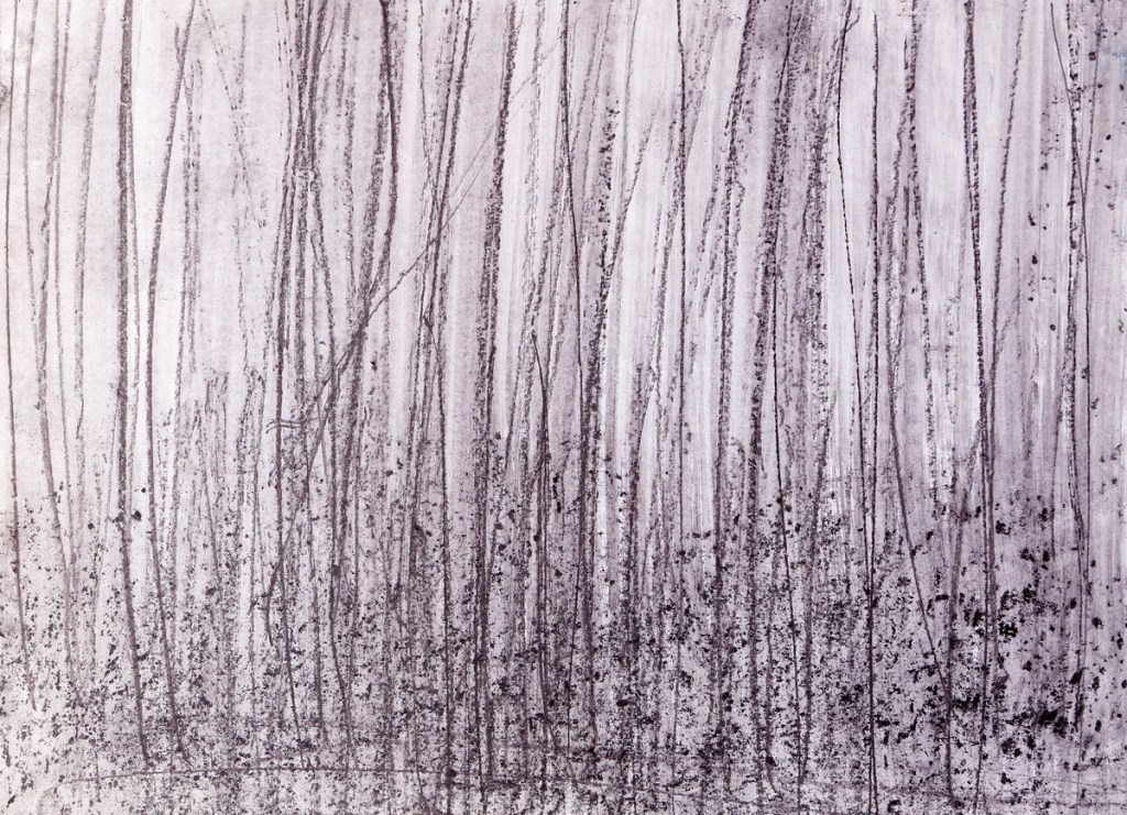 Meditations Antonio Algaba