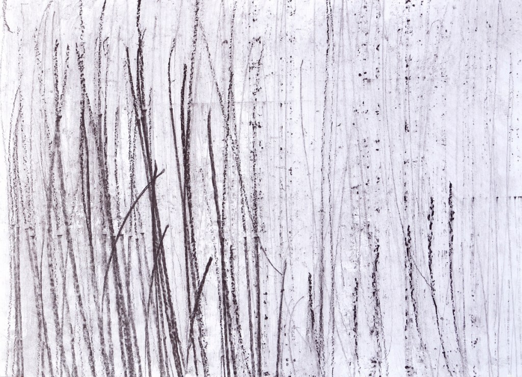 Meditations Antonio Algaba