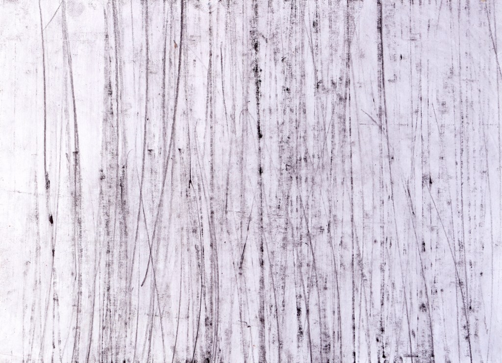 Meditations Antonio Algaba