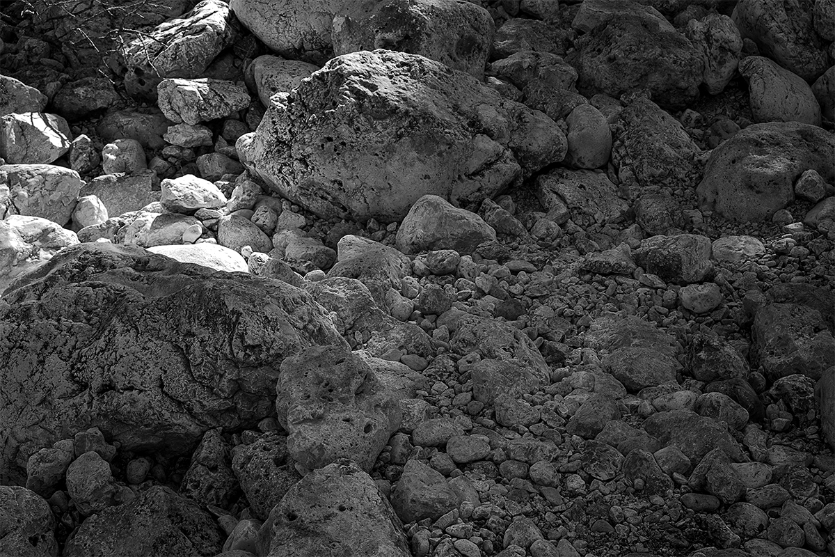 HIC SVNT DRACONES antonio algaba